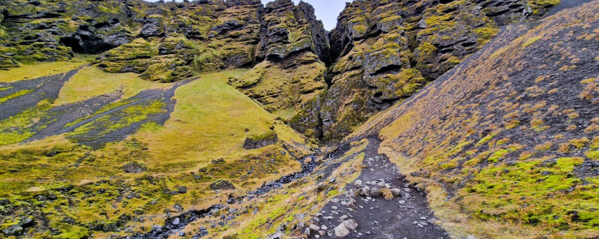 Rauðfeldar